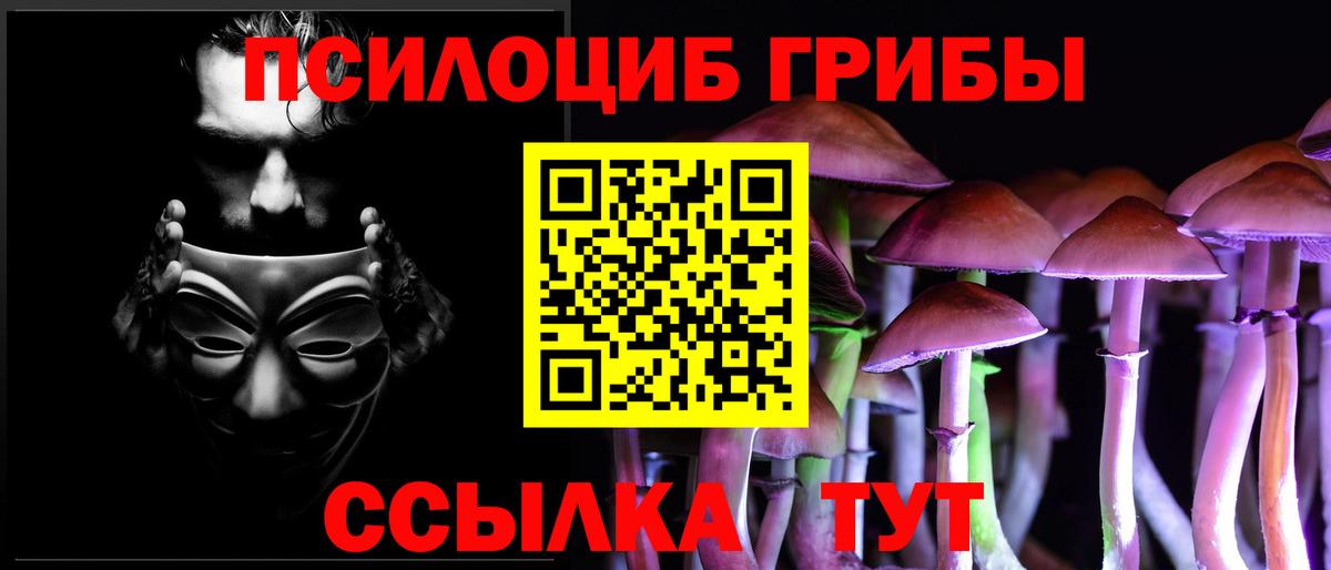 Псилоцибиновые грибы MAGIC MUSHROOMS  Вход с VPN  Арсеньев 